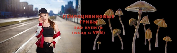 кристаллы Алзамай