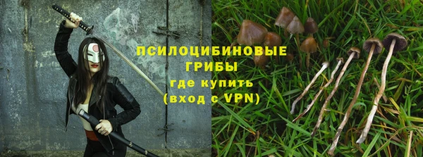 Альфа ПВП Алексин