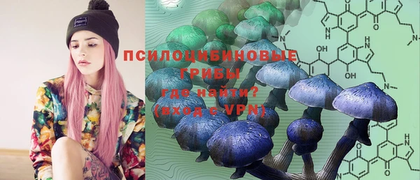 Альфа ПВП Алексин