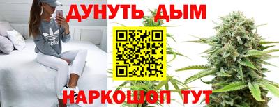 каннабис Новозыбков