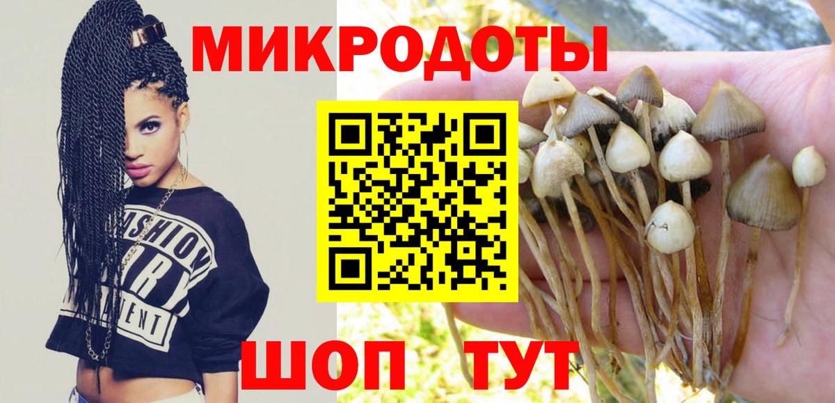Галлюциногенные грибы Magic Shrooms Якутск