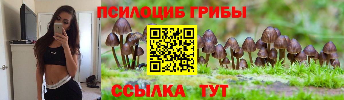 Якутск  Галлюциногенные грибы прущие грибы  купить наркотики цена  Вход с VPN 