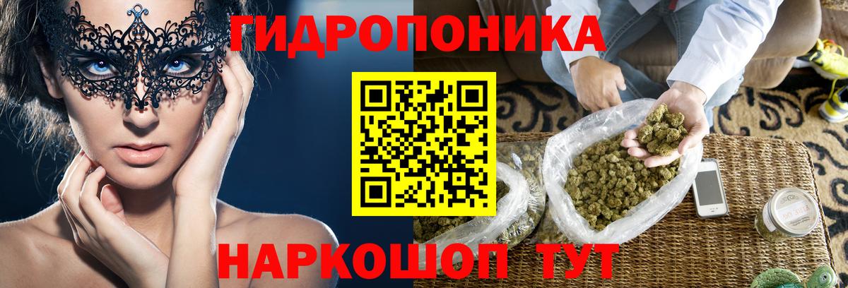 Бошки марихуана марихуана  Конопля гибрид  Марихуана тримм  Якутск  Конопля SATIVA & INDICA  Вход с VPN 